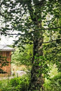 Holiday Home G-Wilderness Cabin by Interhome - Errogie - 8