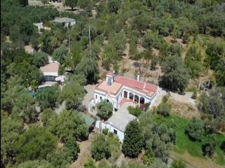 Andalusian Retreat for Groups - Órgiva - 1
