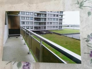 Ruytingen de panne - 1