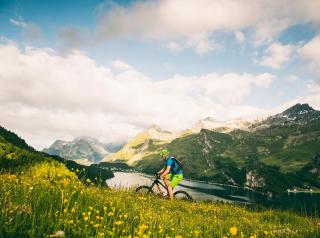 Edelweiss Swiss Quality Hotel - 2