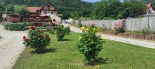 Szabó Pince Vendégház - 9