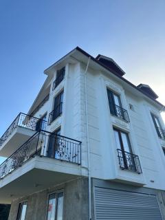 Panorama villa - 1