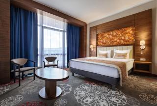 ARDEN PALACE Medical Resort & SPA - Satanov - 9