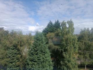 Modern Three-Bedroom Apartment in Leafy West End with Private Parking - Glasgow - 3