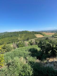 Casetta di Vigliano II - 5