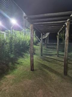 Pinheiros do Lago - 5