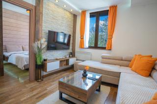 Lux Apartmani Djordjevic Zlatibor - 1