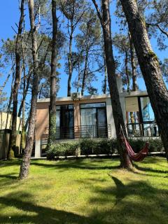 Shekvetili Small Wonder - 9