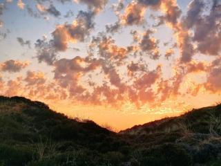 8 person holiday home in Henne - Henne Strand - 8
