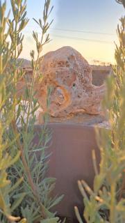 YouGa Nest - 1