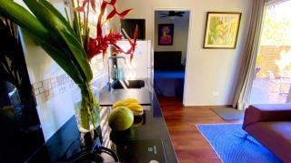 Tiny house under a tree by Vaiava beach - 3