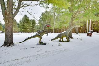 Adirondacks Cabin Fish, Hunt and Hike! - 9