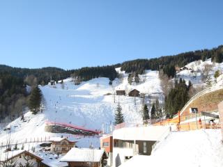 Apartment in Dienten near Ski Lift - Dienten am Hochkönig - 3
