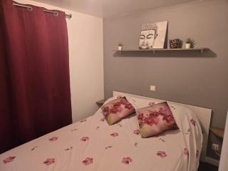 Charmant Mobil home avec piscine privative - 4