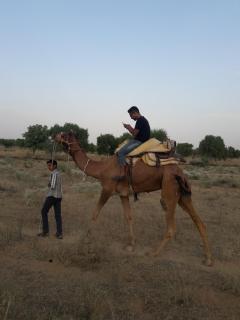 Osian Camel safari and Village home stay - 8