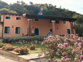 L'Abbraccio della Vigna - Alloggio Agrituristico - 1