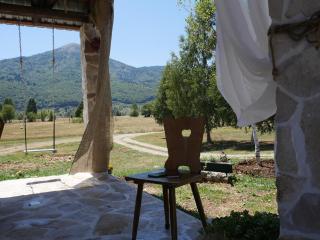 Special Chalet with Barbecue in Gornja Brezna Village - 8