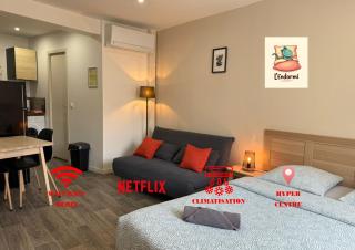 L'endormi - Centre ville - WIFI et NETFLIX - 9