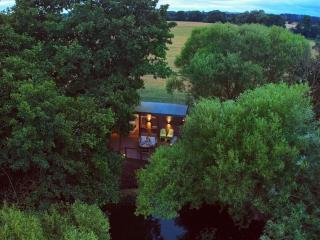 Heron's Hide - 5