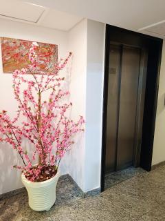 Hotel Kingite - São Paulo - 2