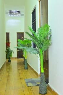Shraddha Guest House Luxury Stay in Ayodhya - 1