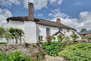 Nethercott Manor - Rose Ash - 1