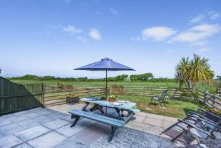 Demelza Cottage - Poughill - 9