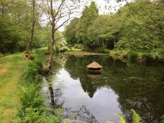 Kingfisher Cottage - 8