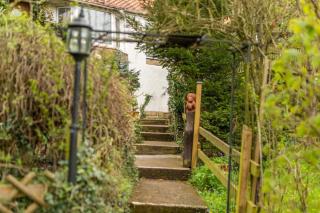 Squirrels Acres - 3