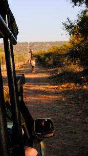 Mologa River Lodge - 6