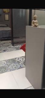 South Delhi Best Location Brand New Cabins Stay - 0