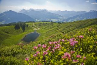 Ferienwohnung Wannenblick, Ferienhof Lochbihler, WertachAllgäu - Wertach - 3