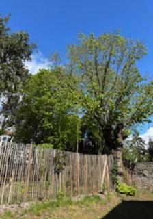 Appartement 1 chambre avec jardin, terrasses, parking gratuit - 9