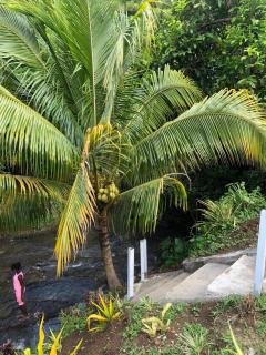 River Valley View - 6