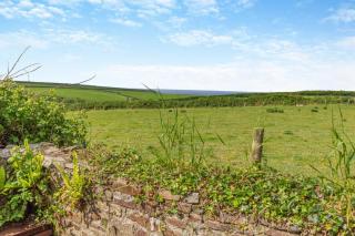 The Pottery - Crosstown - 1