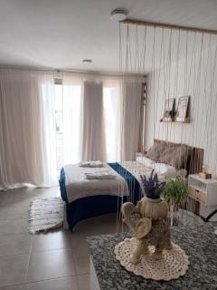 Mono Ov. LAGOS 2 - 8