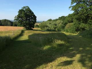 Brenchleyglamping - Tonbridge - 4