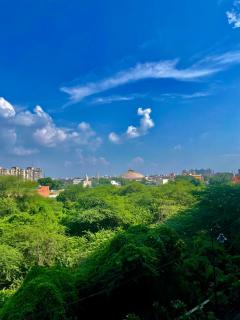 ZenRoofs- Studio Flat - 7