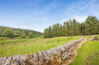 Two Hoots Cottage - Gilsland - 6