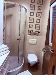 Alisia House - Sibiu - 1