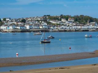 Shipwrights Cottage - Appledore - 9