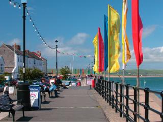 Shipwrights Cottage - Appledore - 8