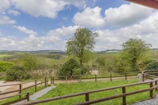Latchley Meadows Lodge - 1
