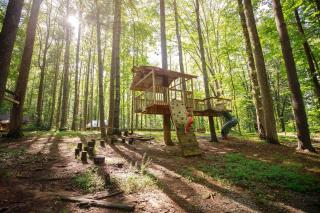 High Top cabin at Cabin Fever in NC - 9