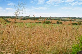 Wagtail Cottage - 1