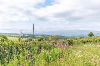 Conwy Valley View - 7