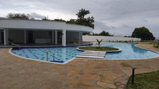 Baobab Waves - 4