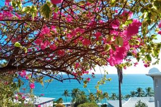 Ma place au Soleil, l'Escapade romantique - 7
