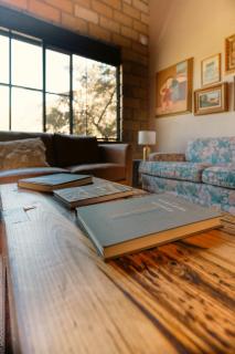 Armadillo Mágico - 2