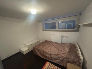 Cozy Pet Friendly Apartment - 3
